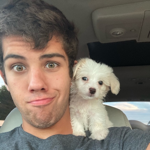 Meet your Posher, Bash - Picture 1 of 1